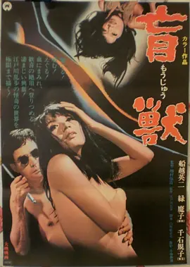 电影:速度与激情